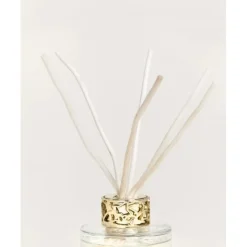 Maison Berger Paris Duo mini Bouquet & Bougie Lolita Lempicka Transparent                Coffret Parfum d'intérieur