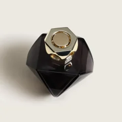 Maison Berger Paris Eternity Noire                Coffret Lampe Berger