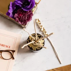 Maison Berger Paris Lolita Lempicka Bouquet Bijou Parfumé Parme                Coffret Parfum d'Intérieur