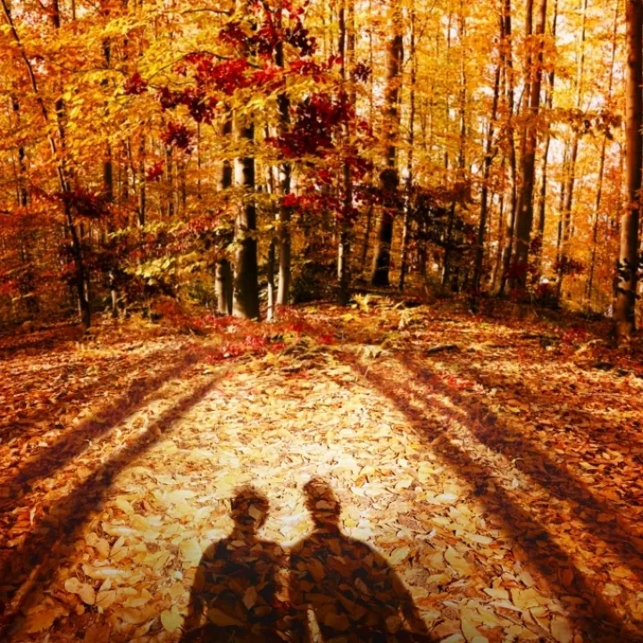 Maison Margiela REPLICA Autumn Vibes Eau de Toilette