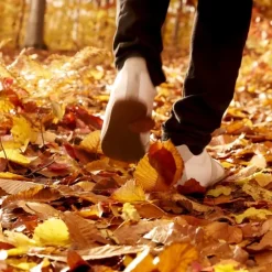 Maison Margiela REPLICA Autumn Vibes Eau de Toilette