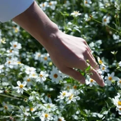 Maison Margiela REPLICA Springtime in a Park                Eau de Toilette