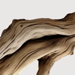 Matière Première Santal Austral                Extrait de Parfum