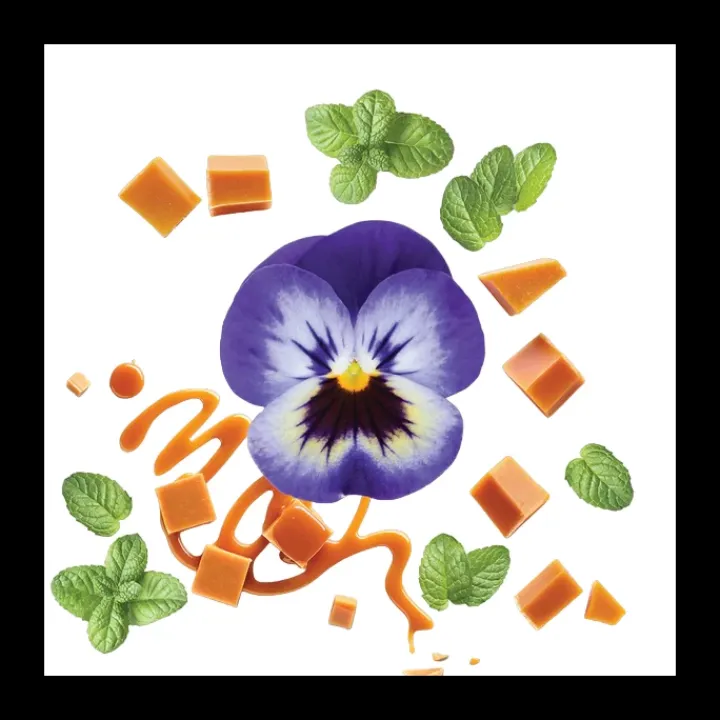 Homme Mauboussin pour Lui in Black Eau de Parfum