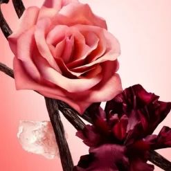 NARCISO RODRIGUEZ All of Me                Eau de Parfum Intense - Flacon Recharge