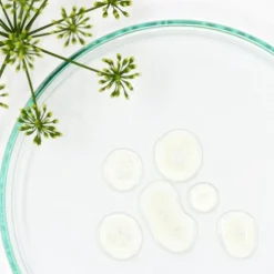 N.A.T Story Subli'slim                Huile Corps Minceur