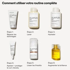 Olaplex Trousse de Brillance                Coffret Soin Cheveux