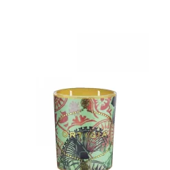 Ortigia Sicilia Fico d'India                Bougie Parfumée Décorée