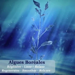 Polaar Nuit Polaire aux Algues Boréales Lait Corps Hydratant