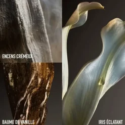 Femme RABANNE Fame Couture                Eau de Parfum - Edition Limitée