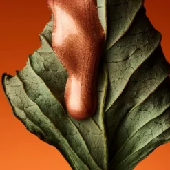 Femme Réminiscence Le Patchouli                Eau de Toilette Intense - Limited Édition 1970