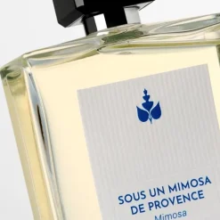 Femme Réminiscence Sous un Mimosa de Provence - Mimosa                Eau de Toilette Intense