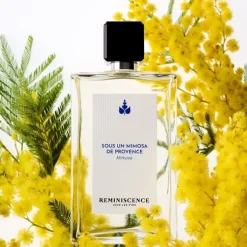 Femme Réminiscence Sous un Mimosa de Provence - Mimosa                Eau de Toilette Intense