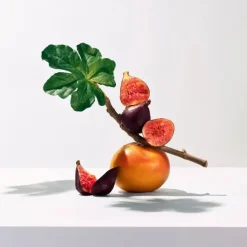 Roger&Gallet Fleur de Figuier                Eau Parfumée Bienfaisante