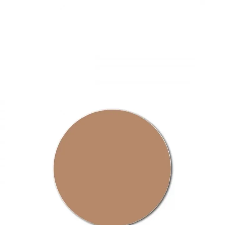 SHISEIDO Sun Compact Fond de Teint Compact Bronzant SPF10 - Recharge