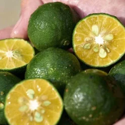 SHISEIDO Waso                Soin Correcteur Teint Non Gras SPF30