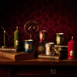 Trudon Astral Fir - Sapin de Noël                Bougie Intermède