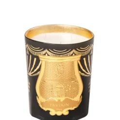 Trudon Fir - Sapin de Noël                Bougie Parfumée Intermède