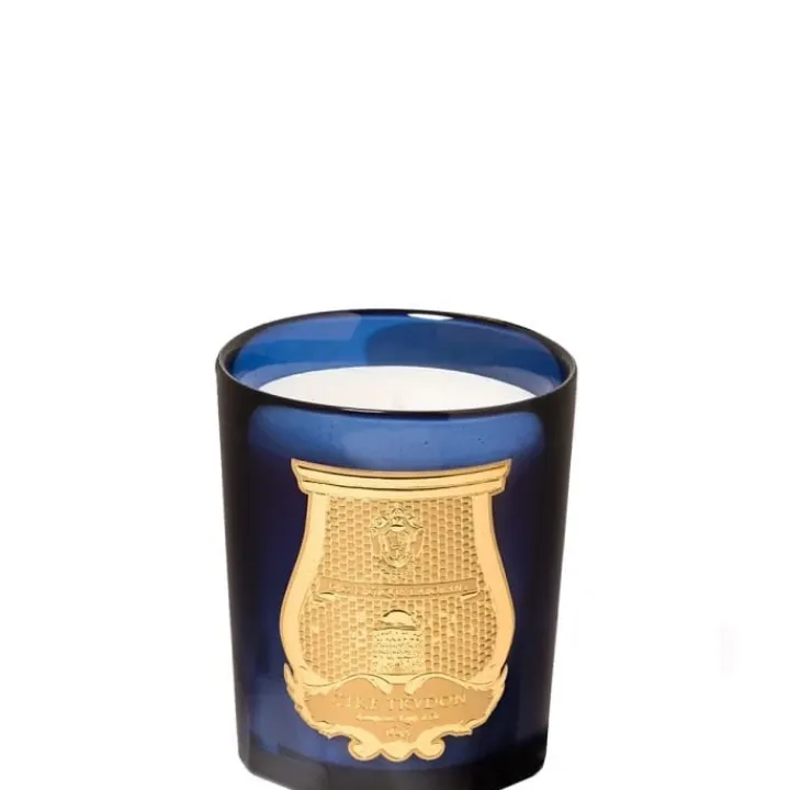 Trudon Reggio • Pointe de Citrus de Calabre Bougie Parfumée