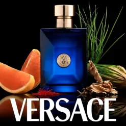 Homme Versace Dylan Blue                Eau de Toilette