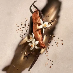 Femme ZADIG&VOLTAIRE ZADIG                Coffret Eau de Parfum